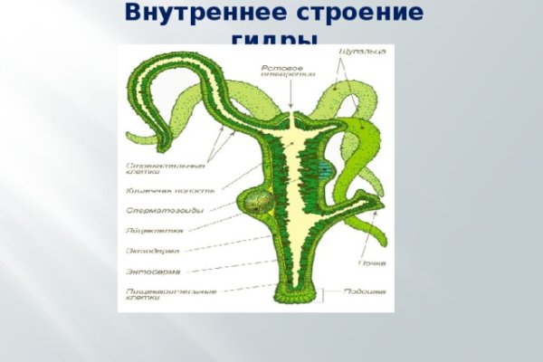 Кракен маркетплейс тор